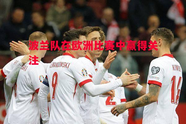 波兰队在欧洲比赛中赢得关注