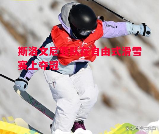 斯洛文尼亚队在自由式滑雪赛上夺冠