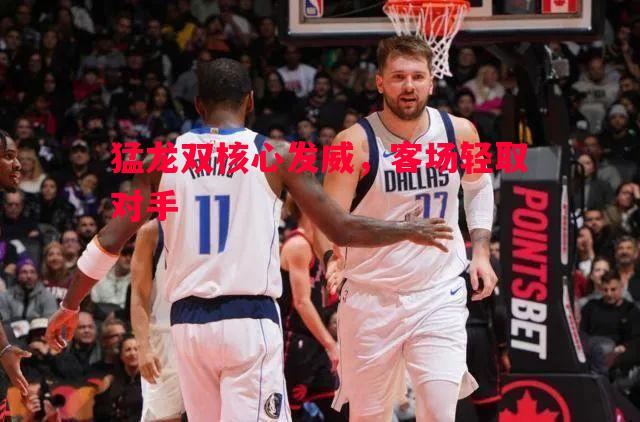 猛龙双核心发威，客场轻取对手