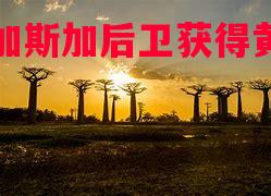 马达加斯加后卫获得黄金机会