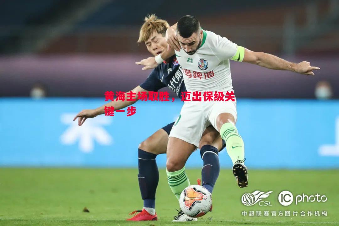 黄海主场取胜,迈出保级关键一步 黄海主场取胜,迈出保级关键一步