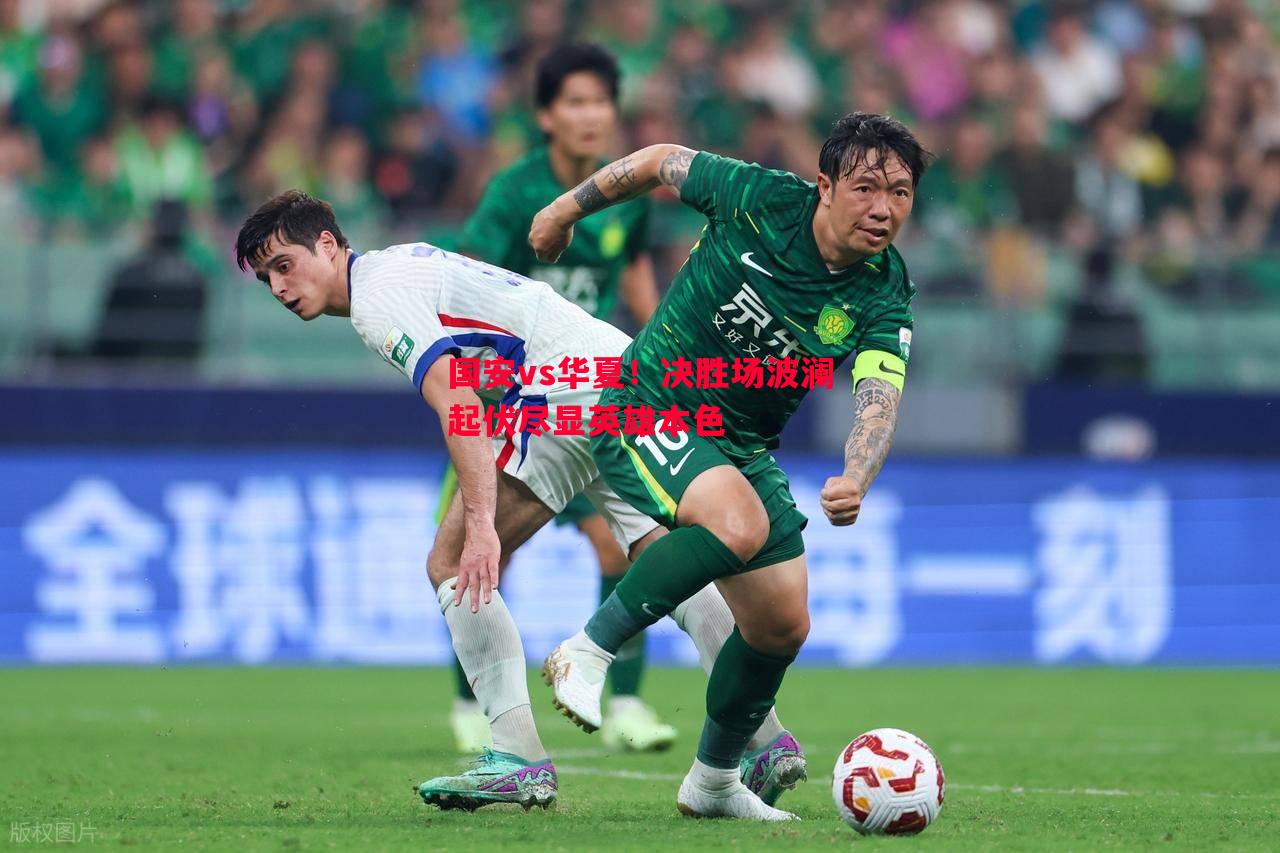 国安vs华夏!决胜场波澜起伏尽显英雄本色 国安vs华夏!决胜场波澜起伏尽显英雄本色