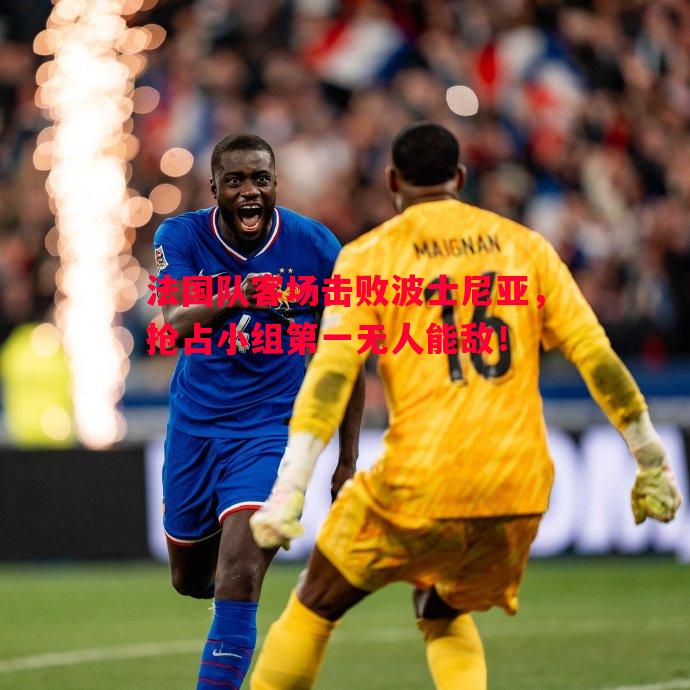 法国队客场击败波士尼亚,抢占小组第一无人能敌! 法国队客场击败波士尼亚,抢占小组第一无人能敌!