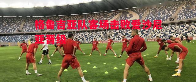 格鲁吉亚队客场击败爱沙尼亚晋级