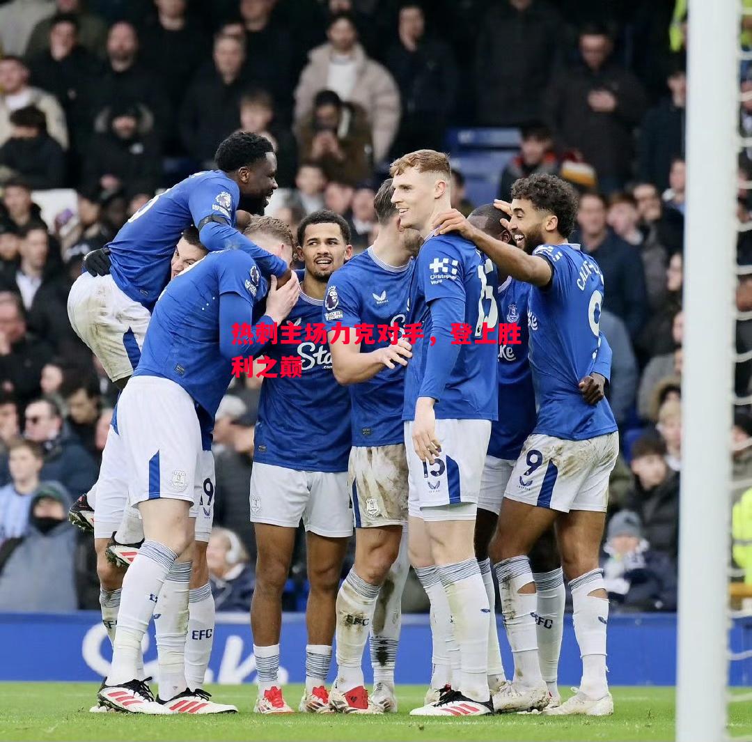 热刺主场力克对手,登上胜利之巅 热刺主场力克对手,登上胜利之巅