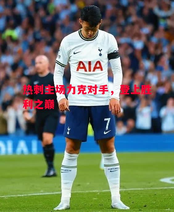 热刺主场力克对手,登上胜利之巅 热刺主场力克对手,登上胜利之巅
