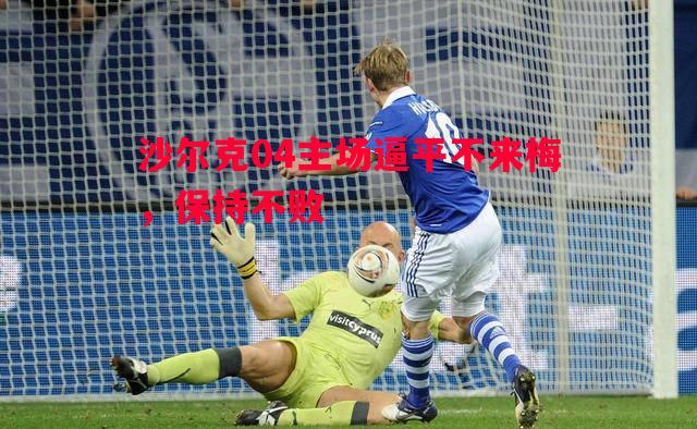 沙尔克04主场逼平不来梅，保持不败