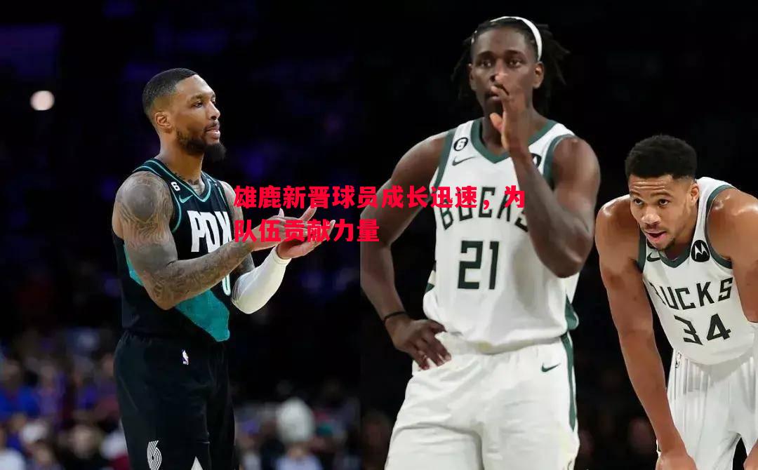雄鹿新晋球员成长迅速，为队伍贡献力量