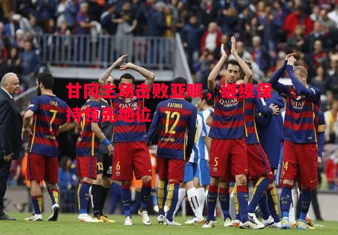 甘冈主场击败亚眠，继续保持领先地位