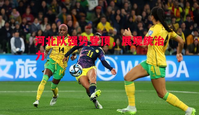 FB体育平台-河北队强势登顶，展现统治力
